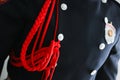 Close up detail of Serbian gendarmerie ÃÂ¶ÃÂ°ÃÂ½ÃÂ´ÃÂ°Ãâ¬ÃÂ¼ÃÂµÃâ¬ÃÂ¸ÃËÃÂ° solemn male uniform